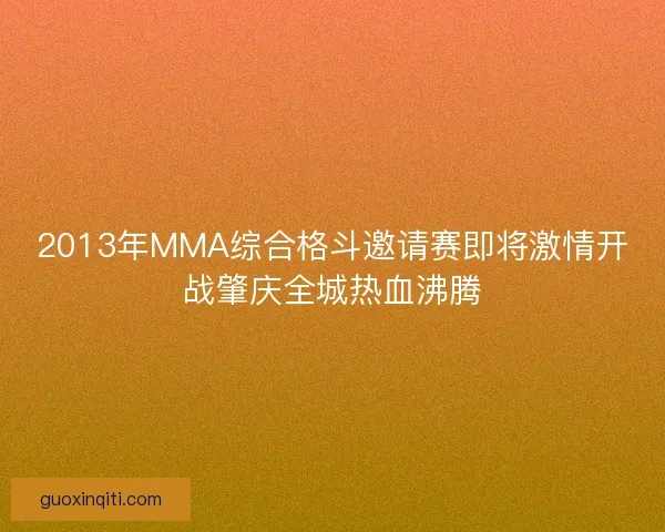 2013年MMA综合格斗邀请赛即将激情开战肇庆全城热血沸腾