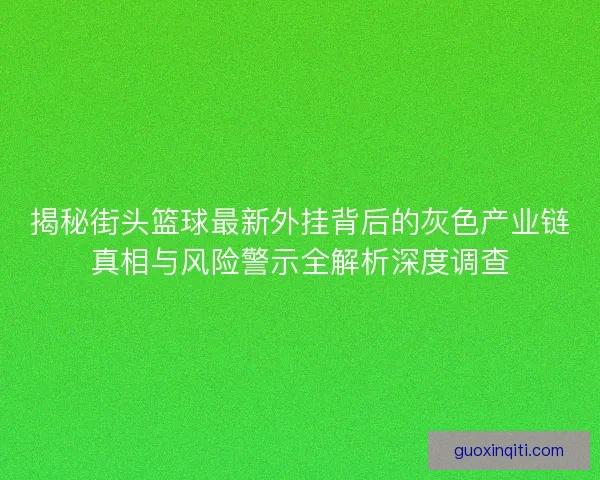揭秘街头篮球最新外挂背后的灰色产业链真相与风险警示全解析深度调查