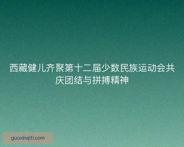 西藏健儿齐聚第十二届少数民族运动会共庆团结与拼搏精神